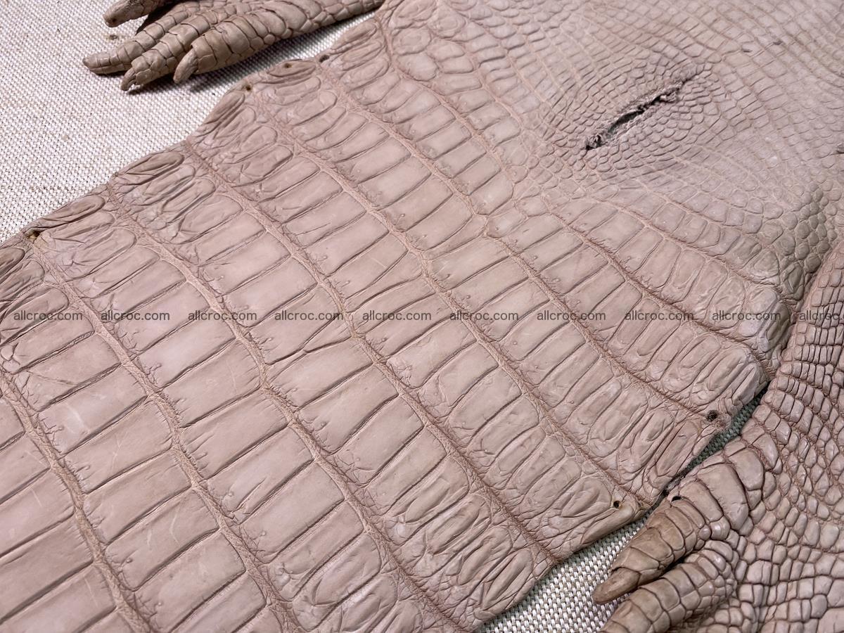 Crocodile skin belly part 29cm cappuccino color 1534 Foto 6