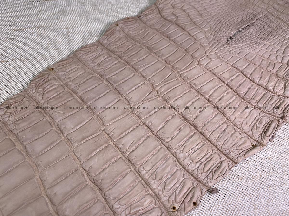 Crocodile skin belly part 29cm cappuccino color 1534 Foto 7