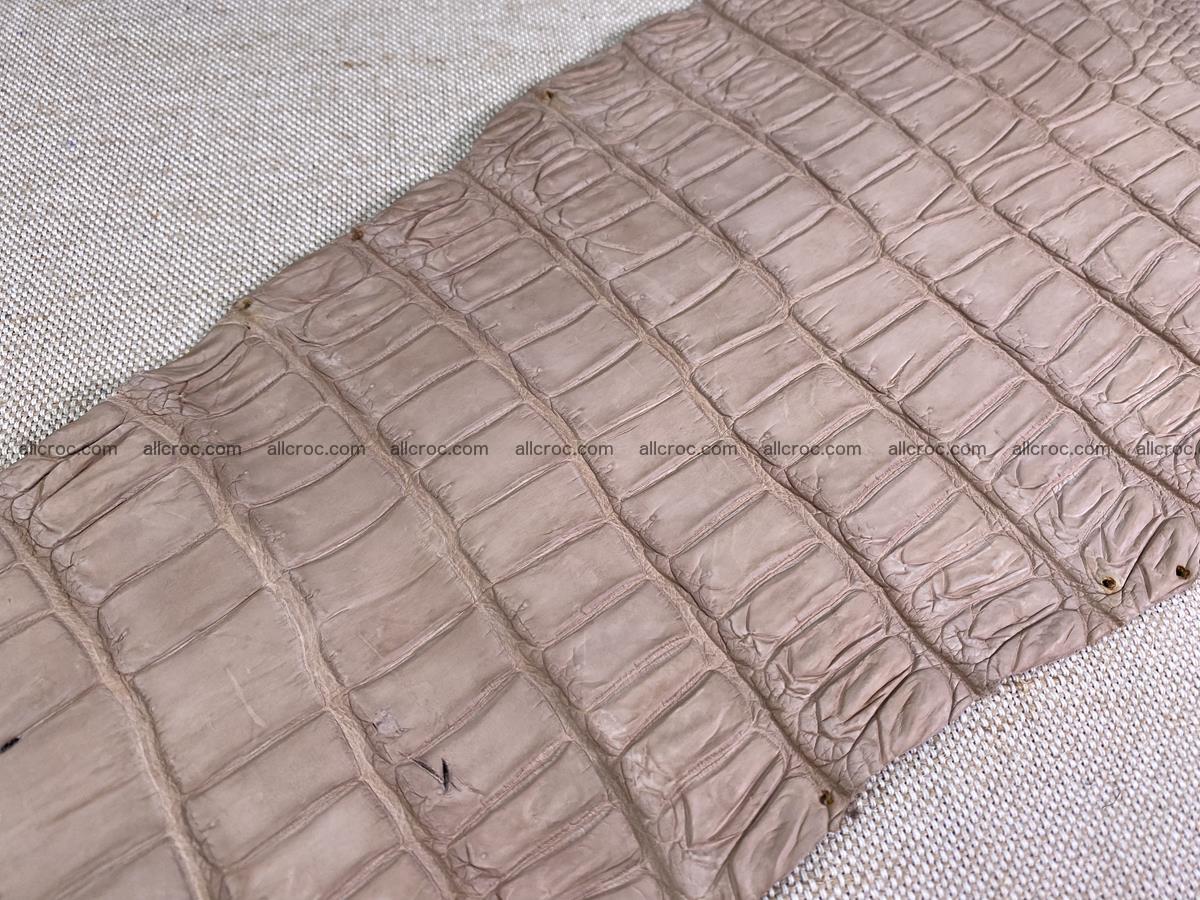 Crocodile skin belly part 29cm cappuccino color 1534 Foto 8