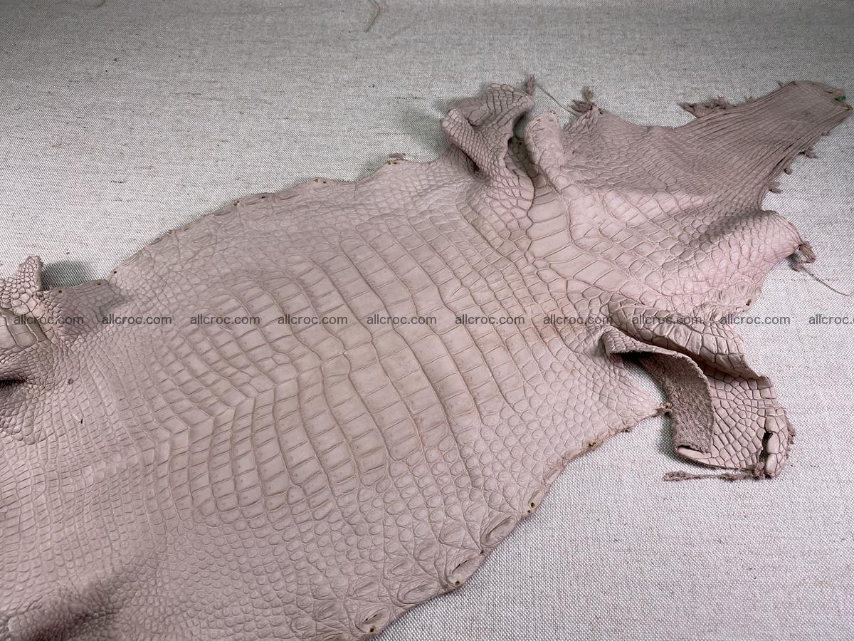 Crocodile skin belly part 33cm cappuccino color 1535 Foto 1