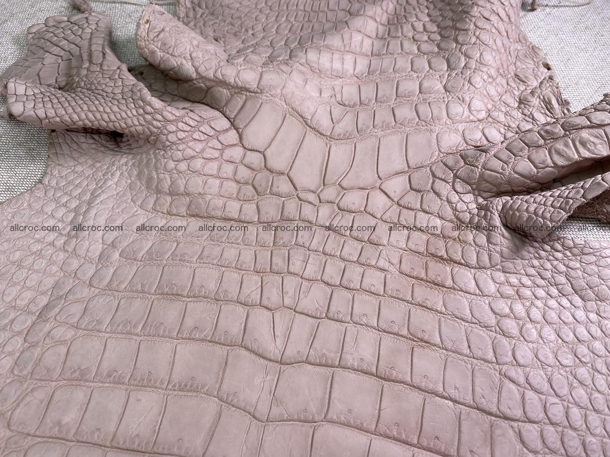 Crocodile skin belly part 33cm cappuccino color 1535 Foto 3