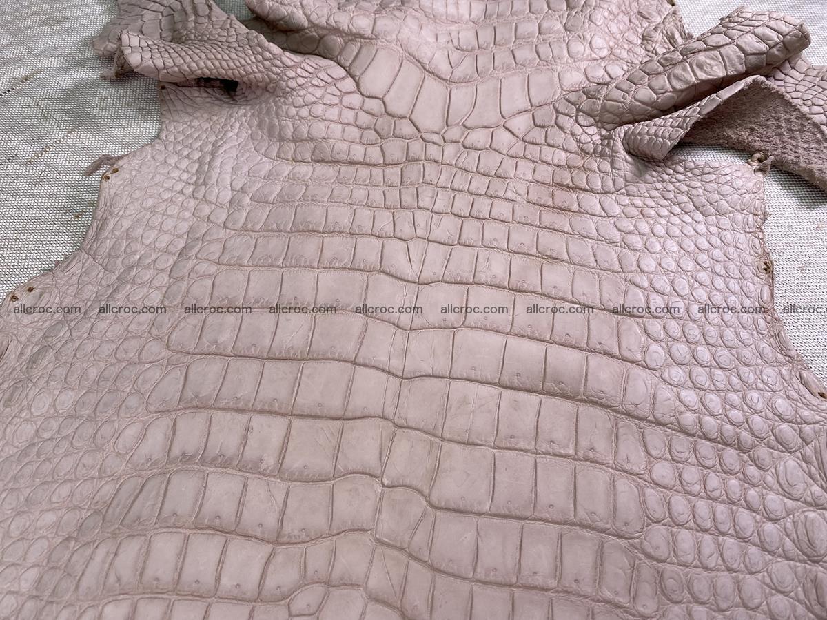 Crocodile skin belly part 33cm cappuccino color 1535 Foto 4