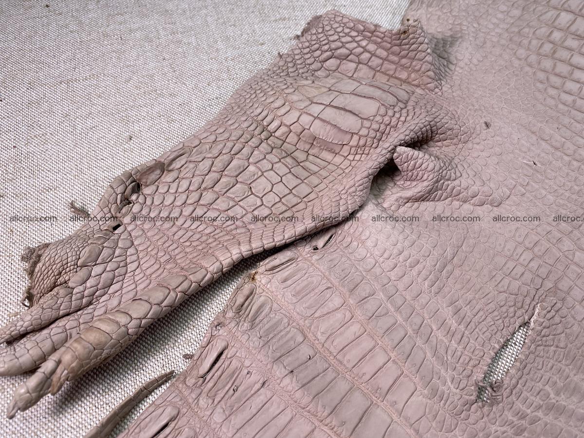 Crocodile skin belly part 33cm cappuccino color 1535 Foto 7