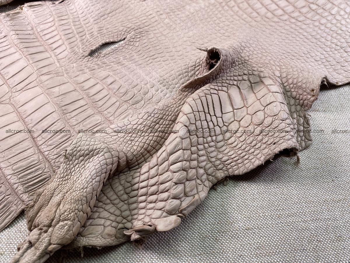Crocodile skin belly part 33cm cappuccino color 1535 Foto 13