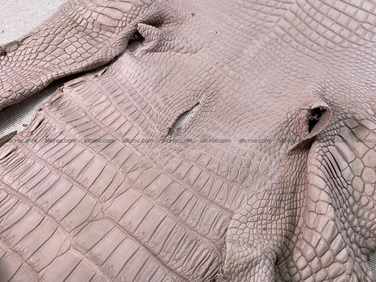 Crocodile skin belly part 33cm cappuccino color 1535 Foto 8