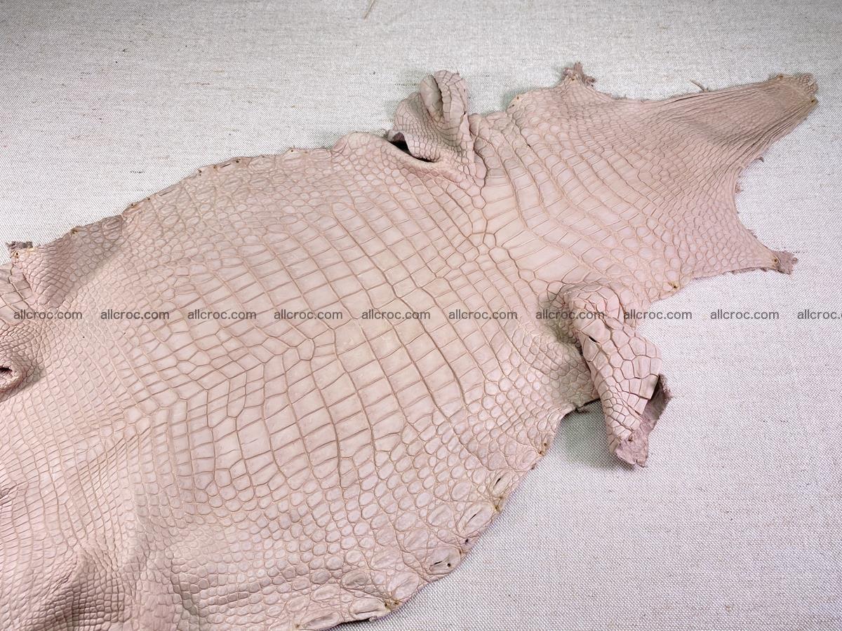 Crocodile skin belly part 36cm cappuccino color 1536 Foto 1