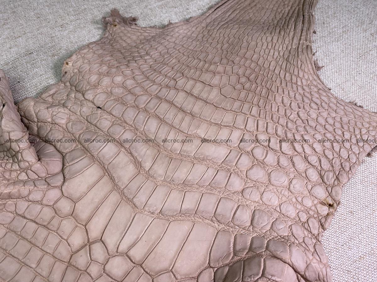 Crocodile skin belly part 36cm cappuccino color 1536 Foto 2