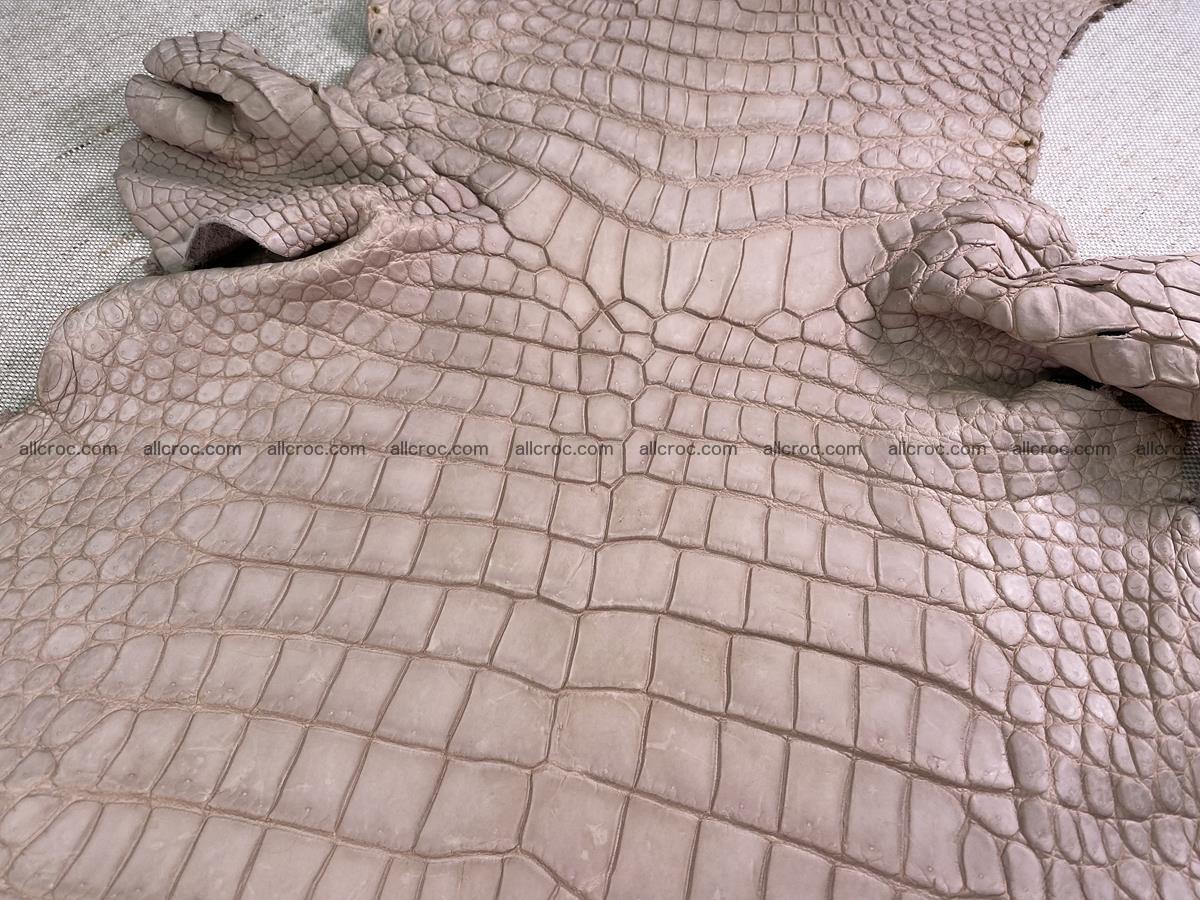 Crocodile skin belly part 36cm cappuccino color 1536 Foto 3