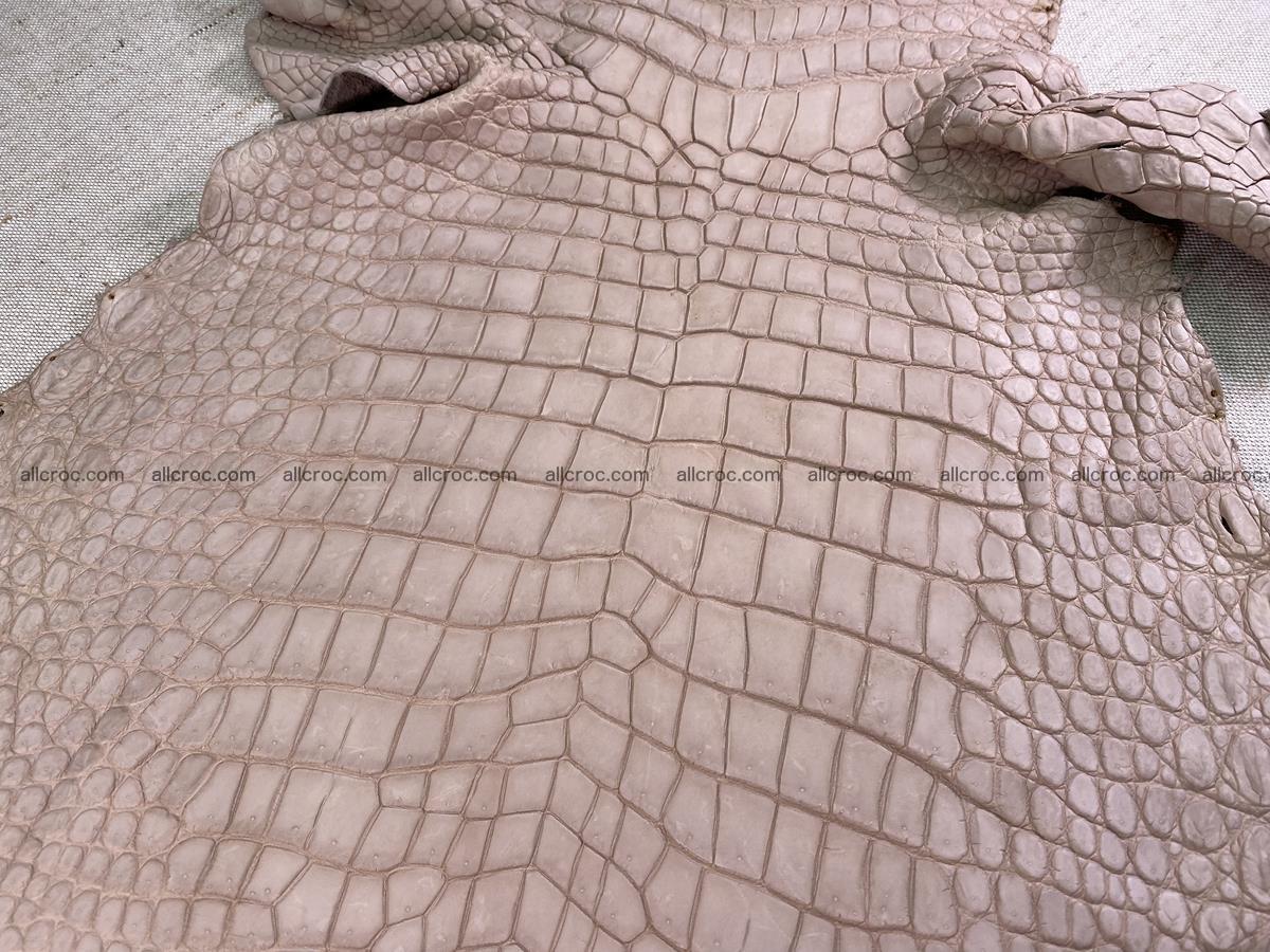 Crocodile skin belly part 36cm cappuccino color 1536 Foto 4