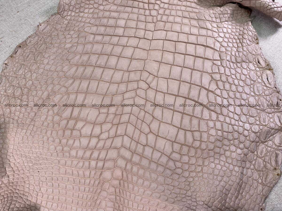 Crocodile skin belly part 36cm cappuccino color 1536 Foto 0