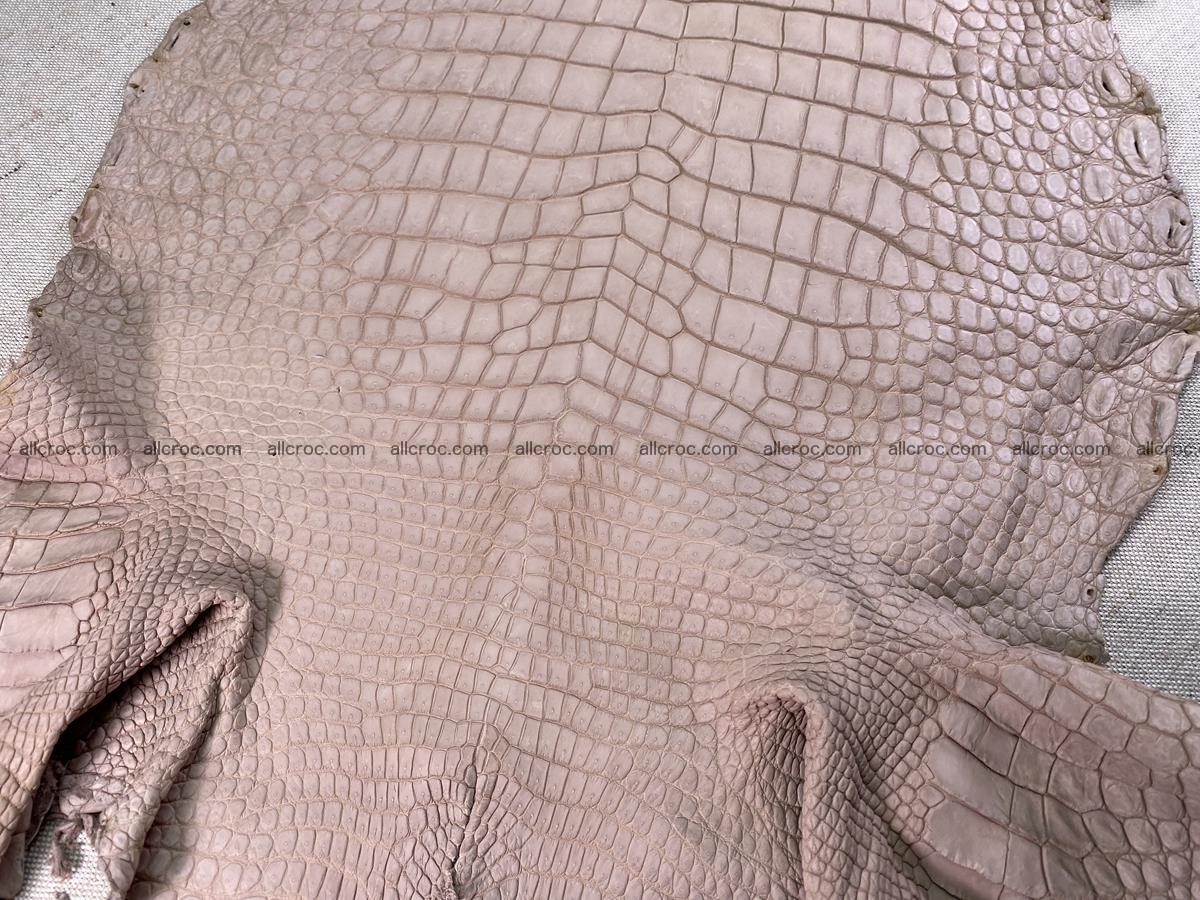 Crocodile skin belly part 36cm cappuccino color 1536 Foto 5