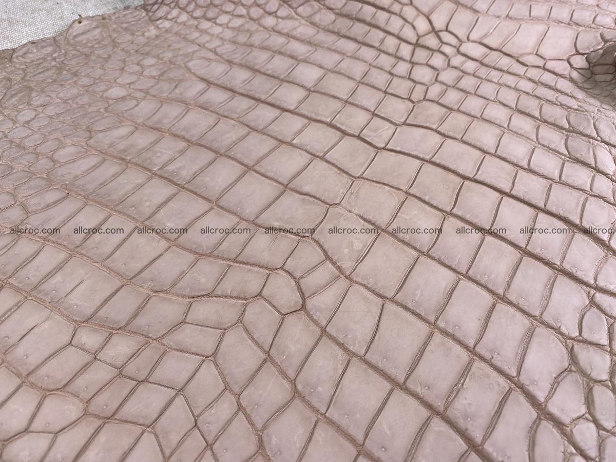 Crocodile skin belly part 36cm cappuccino color 1536 Foto 7