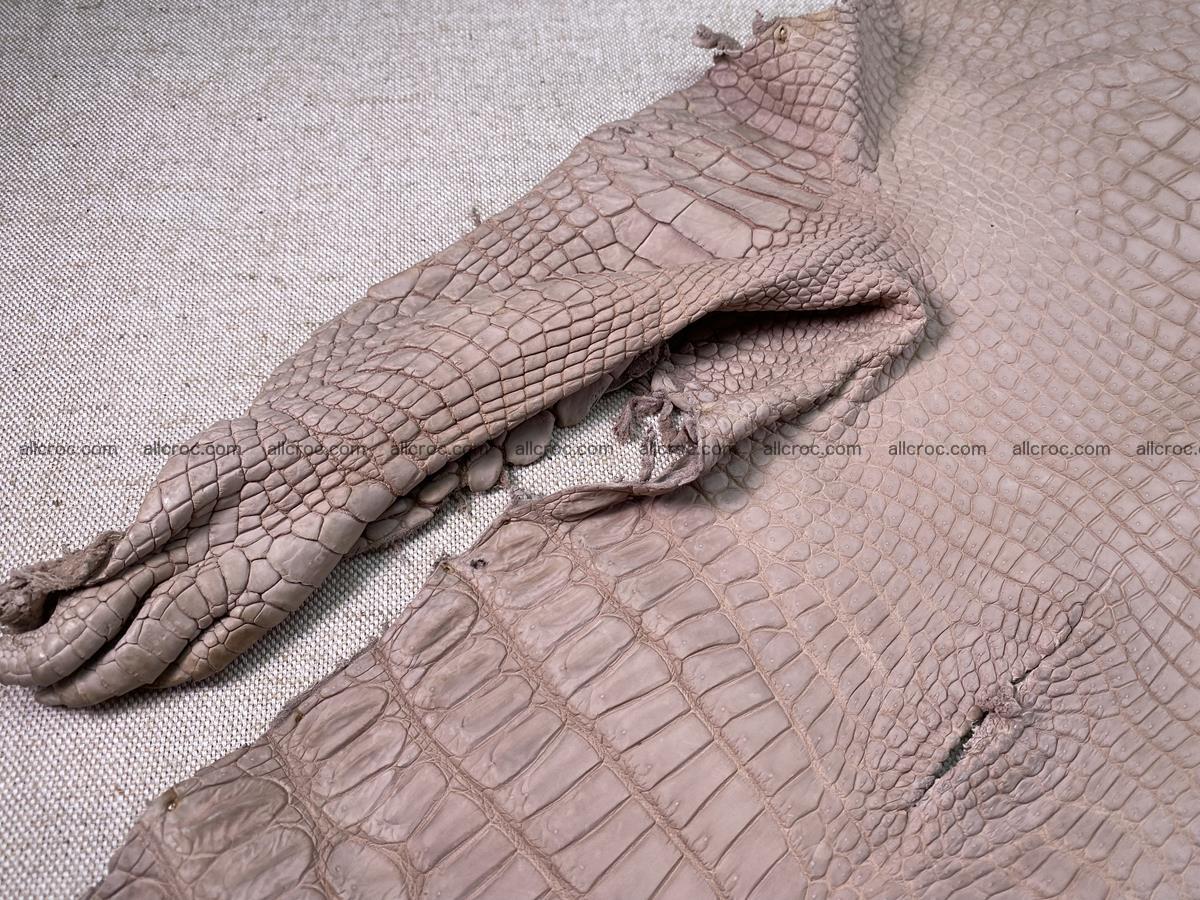 Crocodile skin belly part 36cm cappuccino color 1536 Foto 10