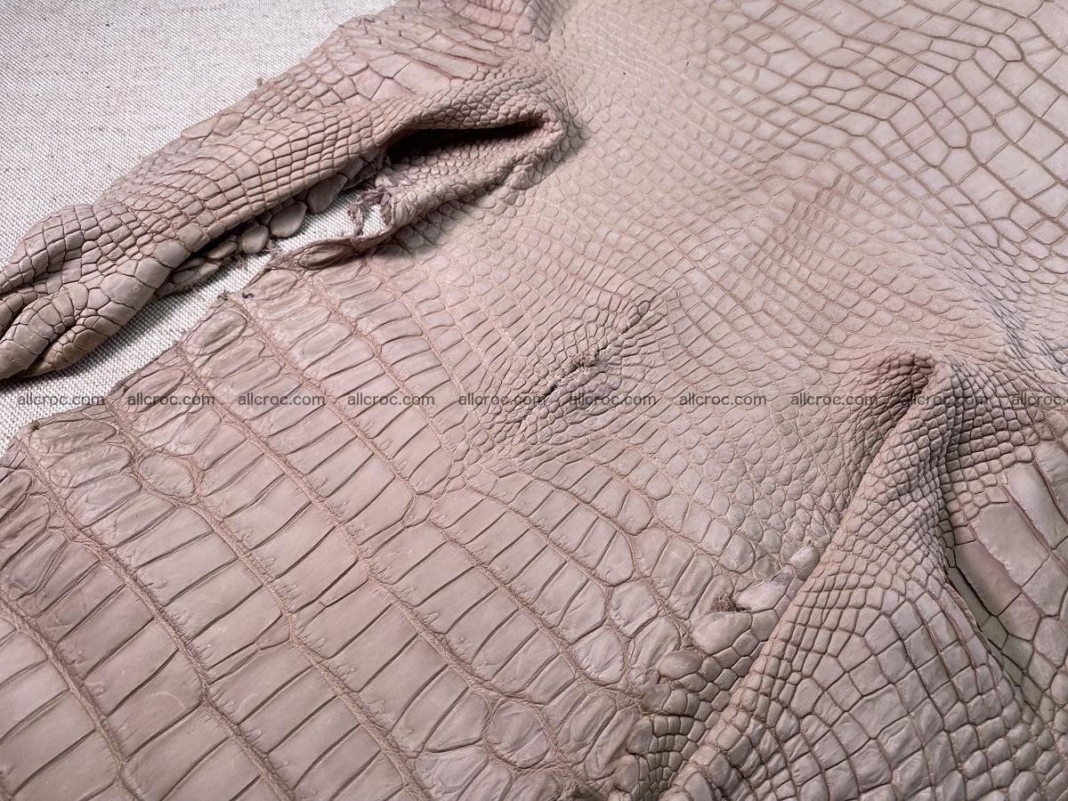 Crocodile skin belly part 36cm cappuccino color 1536 Foto 11