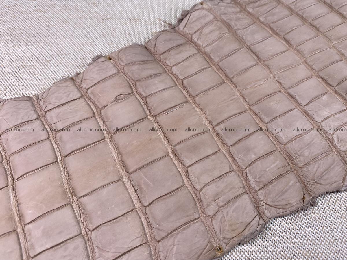 Crocodile skin belly part 36cm cappuccino color 1536 Foto 15