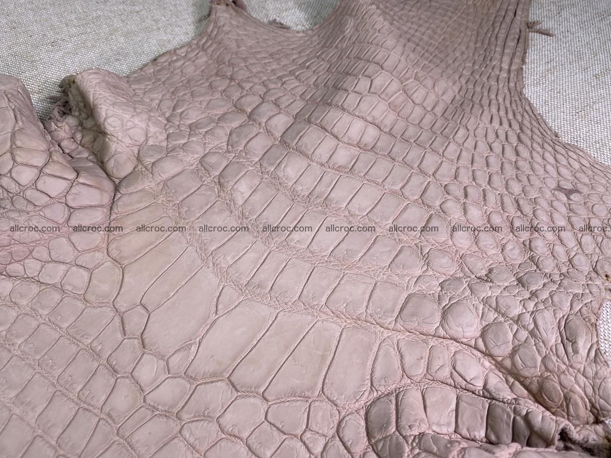 Crocodile skin belly part 41cm cappuccino color 1537 Foto 2