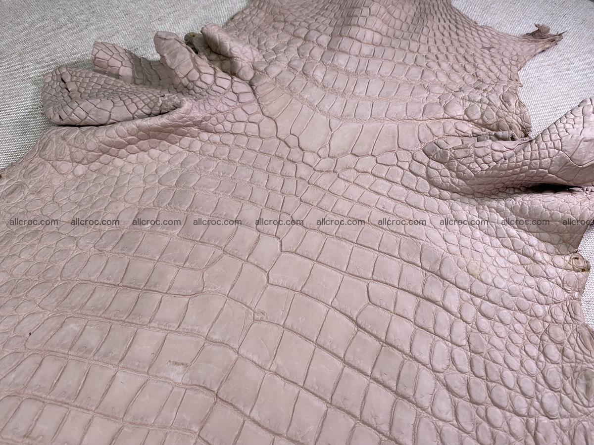 Crocodile skin belly part 41cm cappuccino color 1537 Foto 3