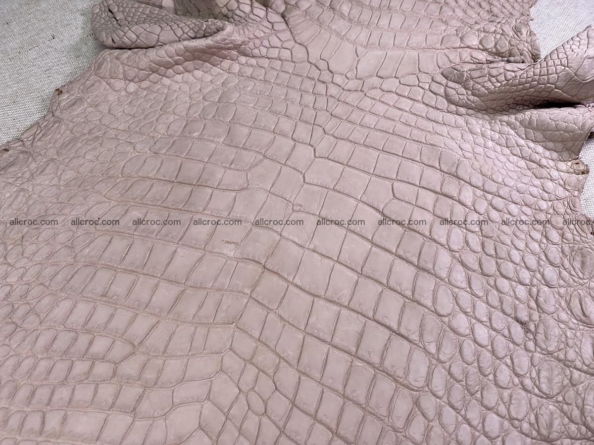 Crocodile skin belly part 41cm cappuccino color 1537 Foto 0