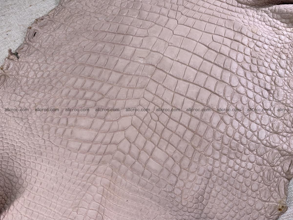 Crocodile skin belly part 41cm cappuccino color 1537 Foto 4