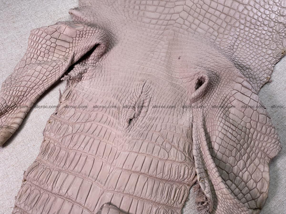 Crocodile skin belly part 41cm cappuccino color 1537 Foto 5