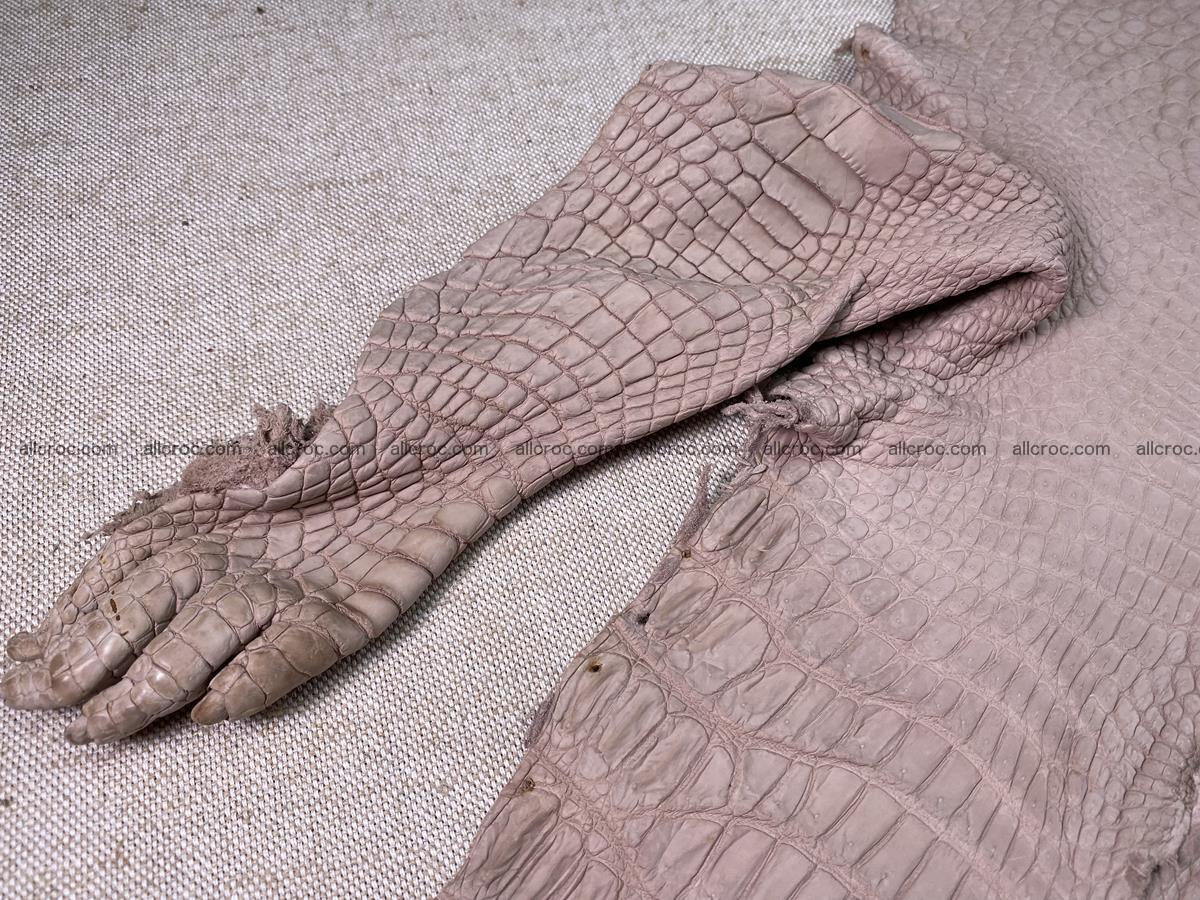 Crocodile skin belly part 41cm cappuccino color 1537 Foto 6