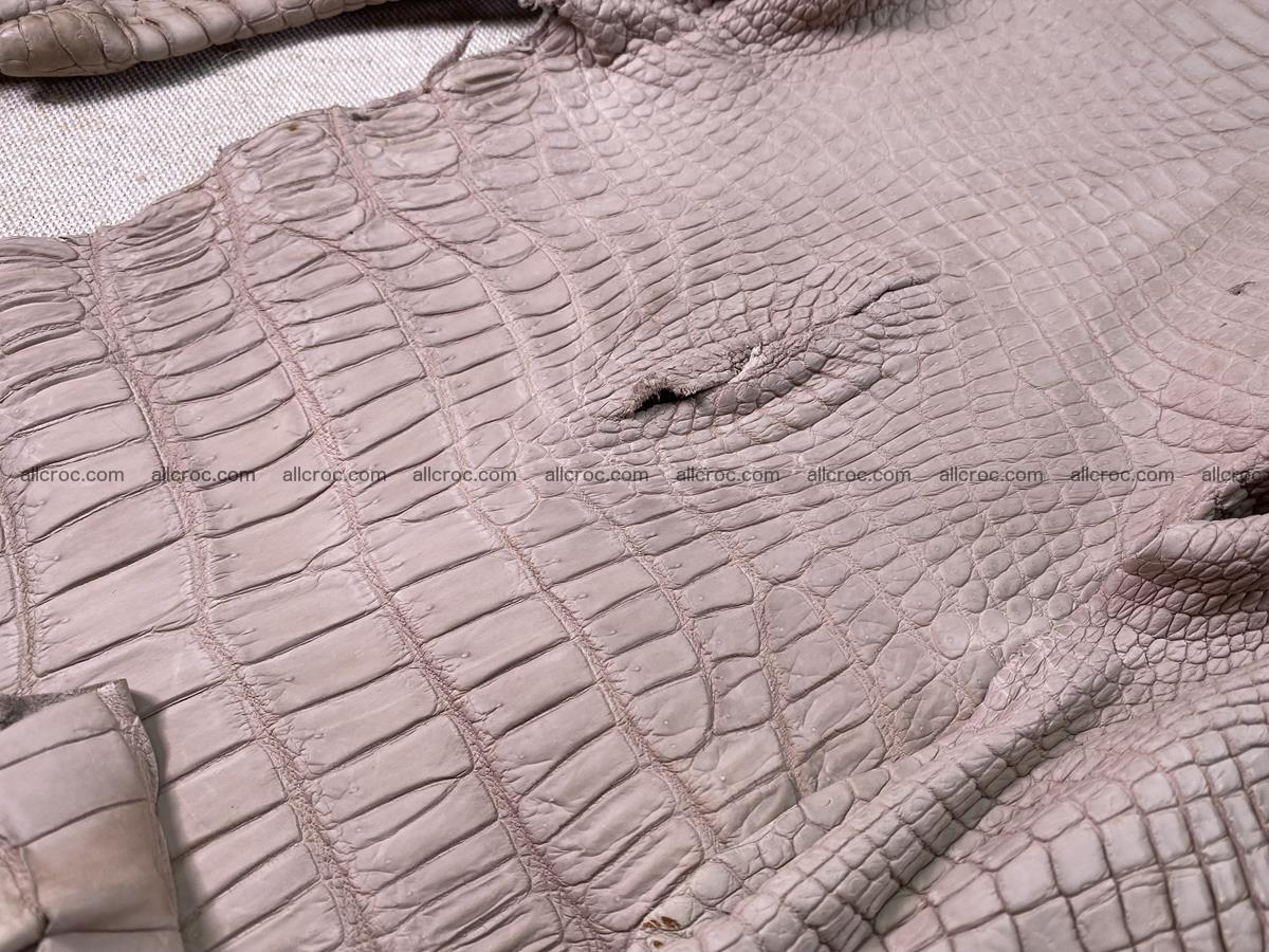Crocodile skin belly part 41cm cappuccino color 1537 Foto 9