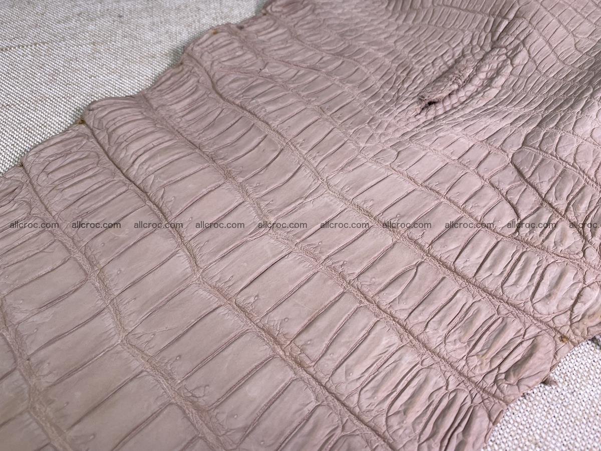 Crocodile skin belly part 41cm cappuccino color 1537 Foto 10