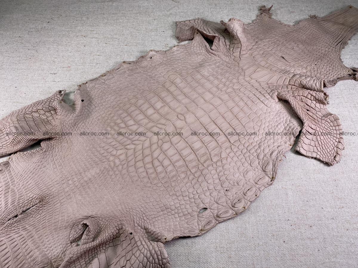 Crocodile skin belly part 34cm cappuccino color 1504 Foto 1