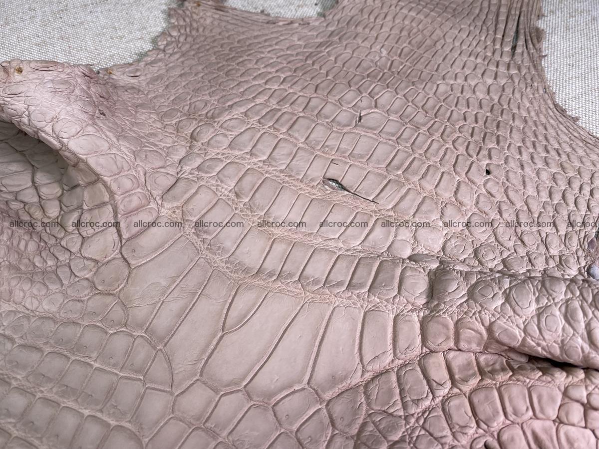 Crocodile skin belly part 34cm cappuccino color 1504 Foto 3