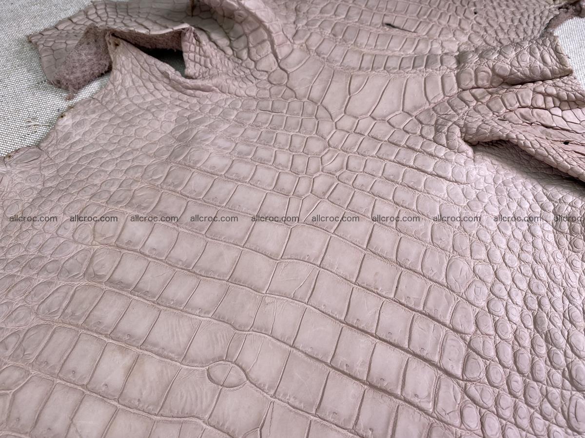 Crocodile skin belly part 34cm cappuccino color 1504 Foto 4