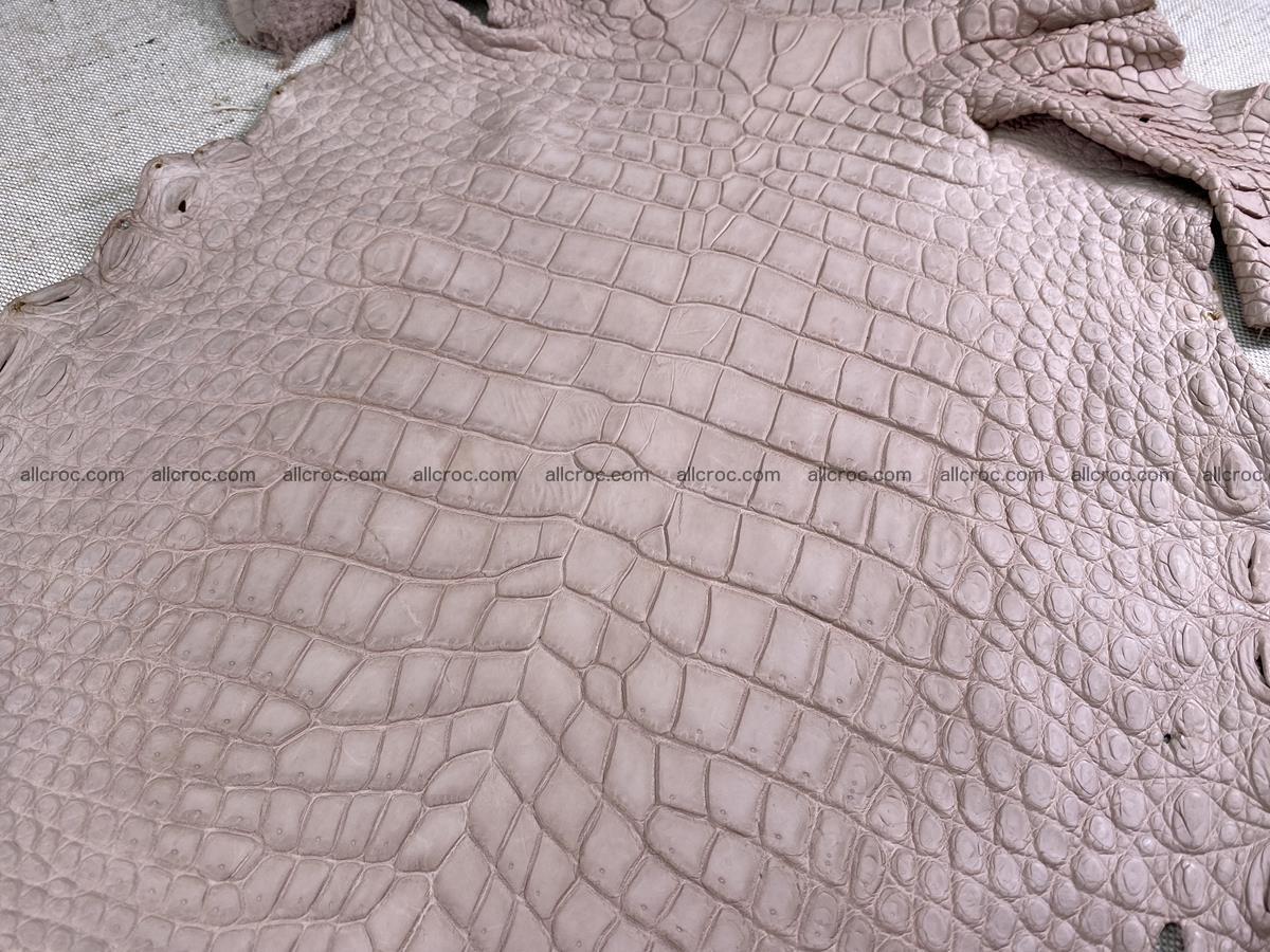 Crocodile skin belly part 34cm cappuccino color 1504 Foto 5
