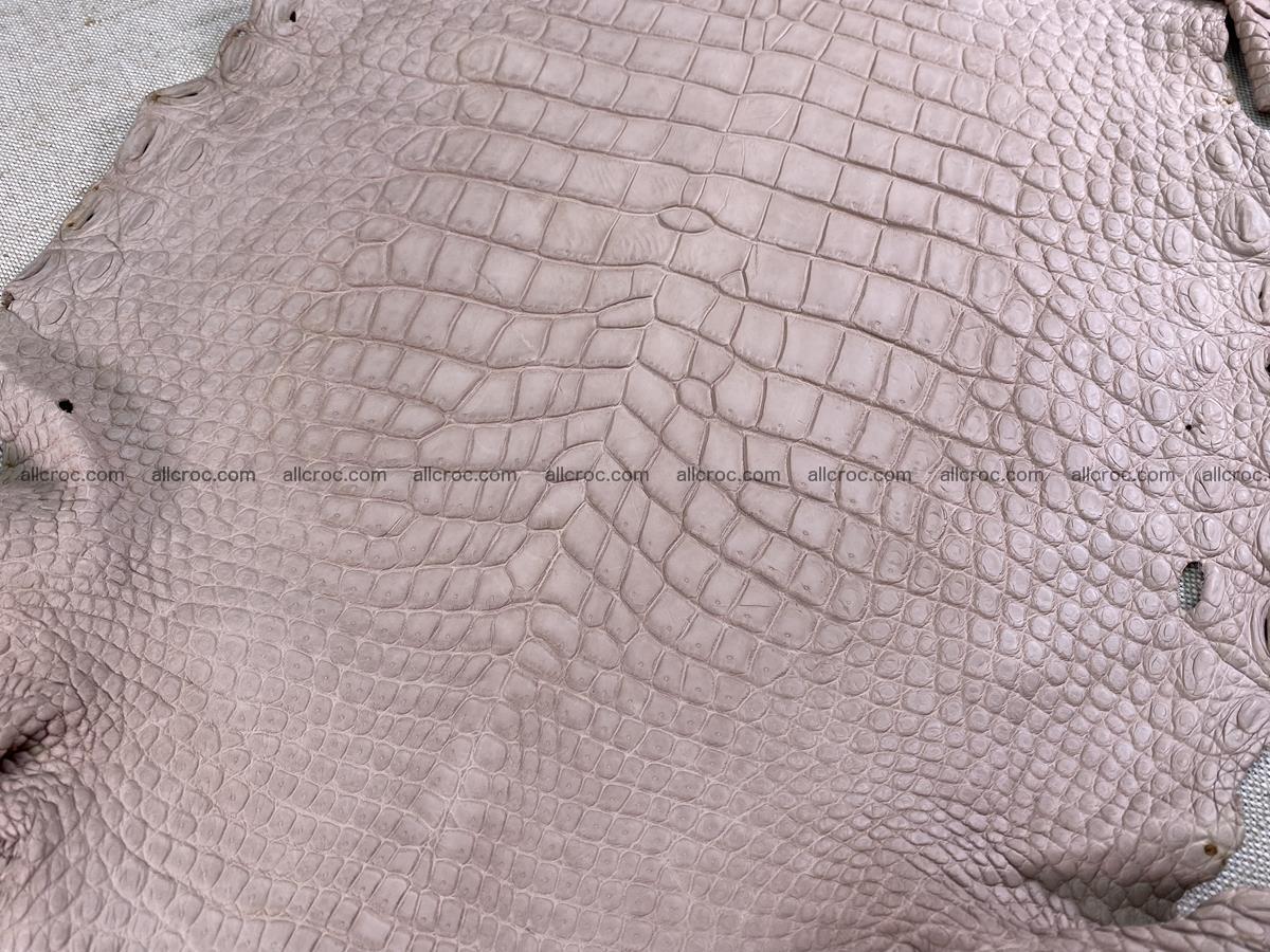 Crocodile skin belly part 34cm cappuccino color 1504 Foto 6