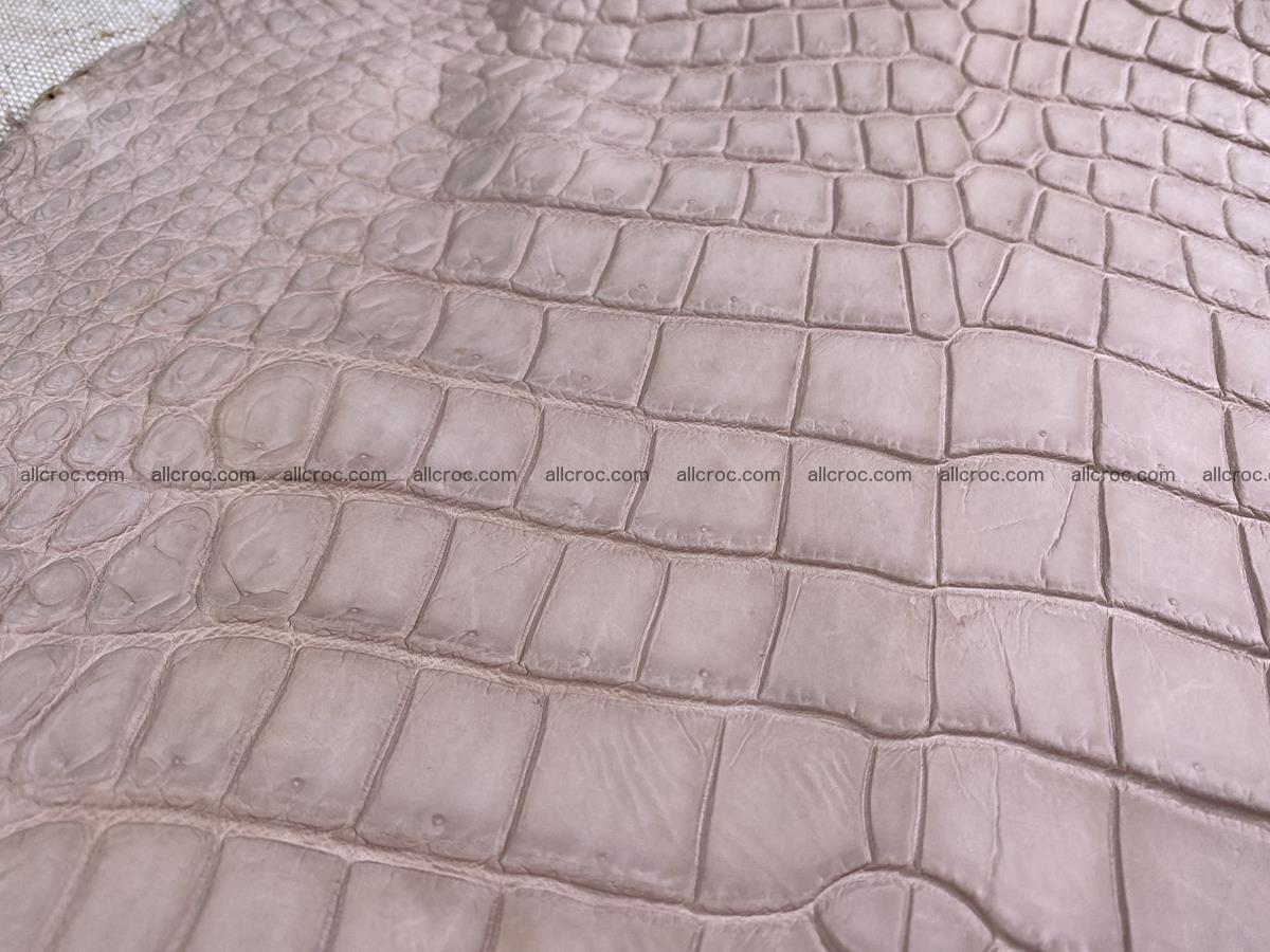 Crocodile skin belly part 34cm cappuccino color 1504 Foto 2