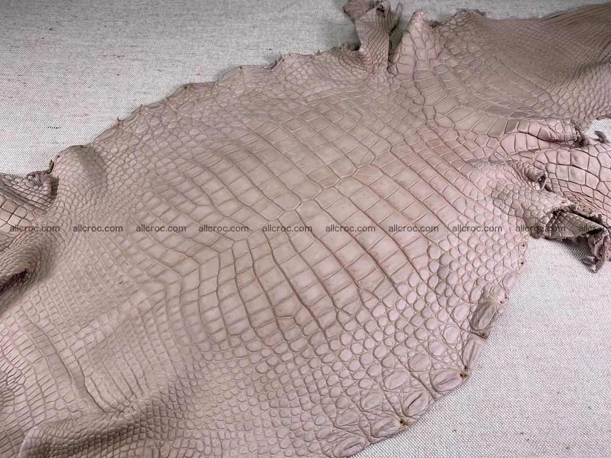 Crocodile skin belly part 35cm cappuccino color 1505 Foto 1