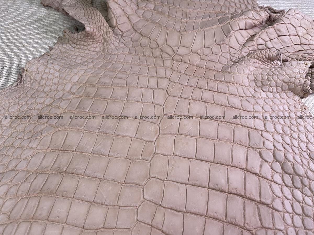 Crocodile skin belly part 35cm cappuccino color 1505 Foto 3