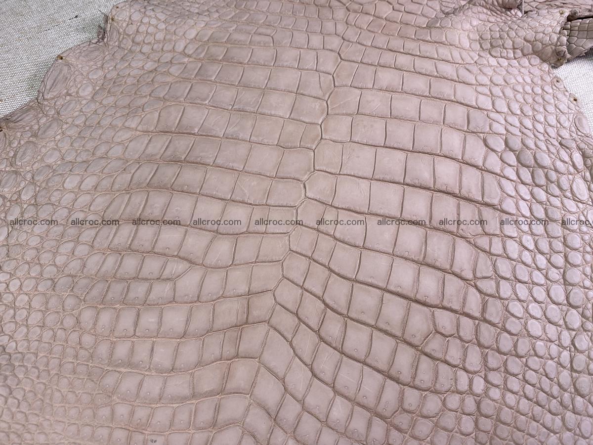 Crocodile skin belly part 35cm cappuccino color 1505 Foto 0
