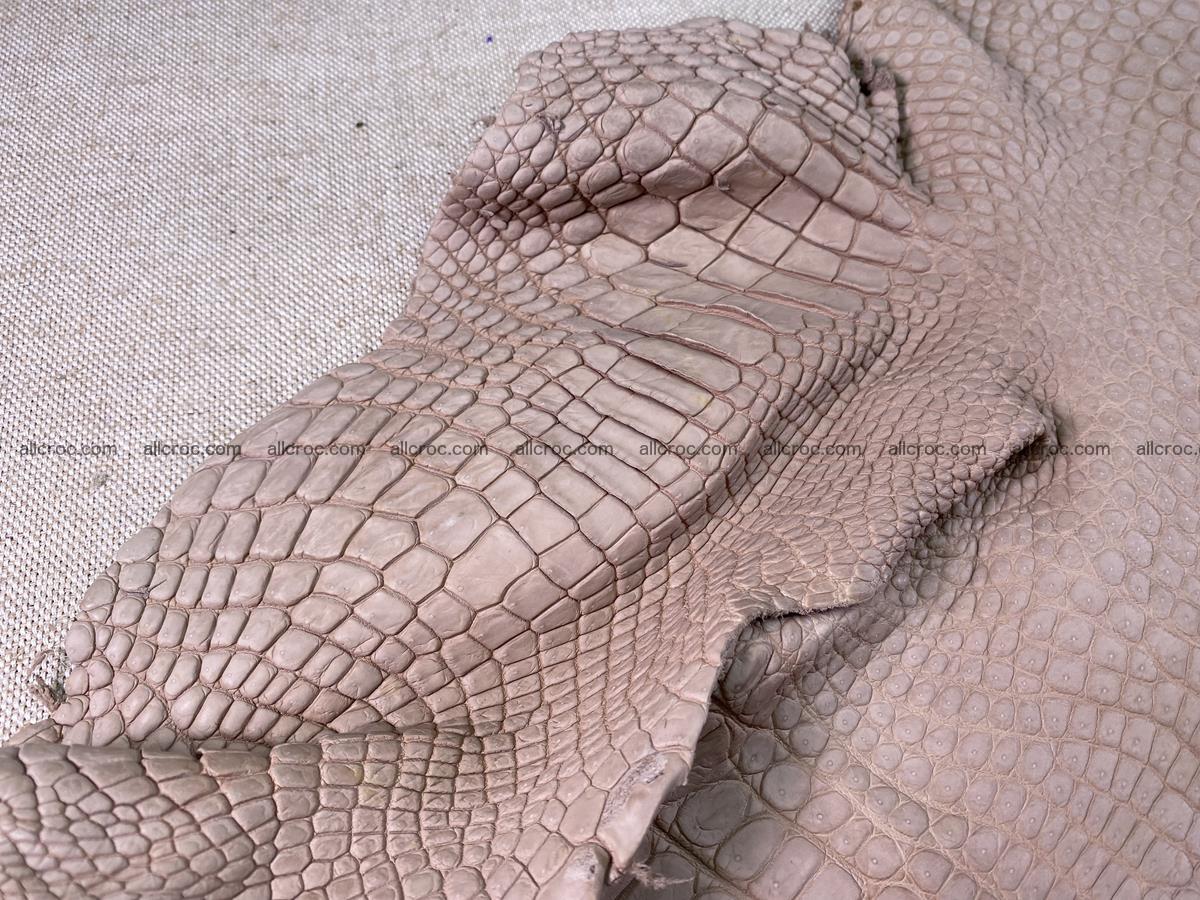 Crocodile skin belly part 35cm cappuccino color 1505 Foto 5