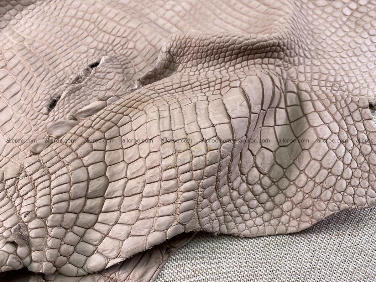 Crocodile skin belly part 35cm cappuccino color 1505 Foto 6
