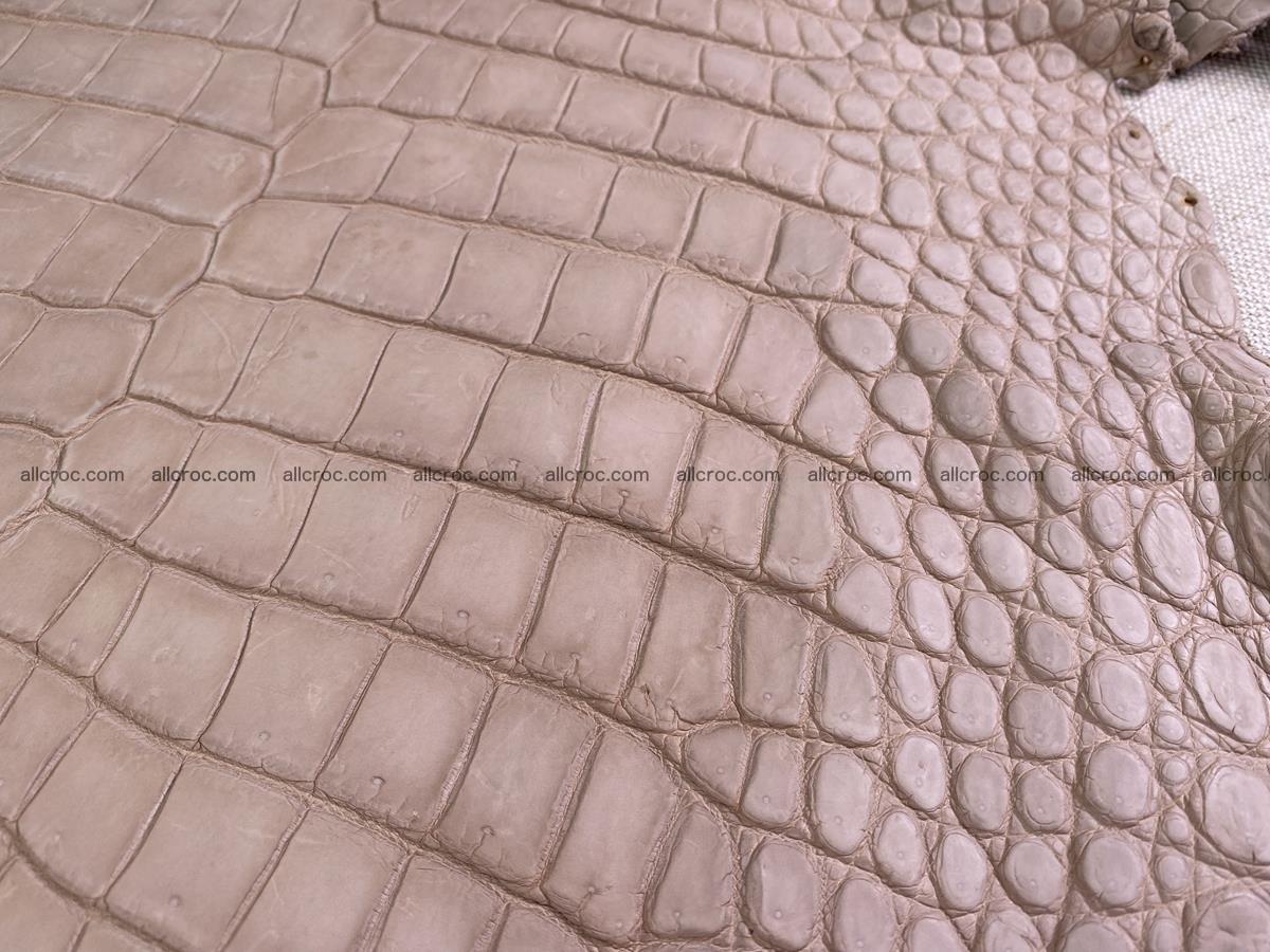 Crocodile skin belly part 35cm cappuccino color 1505 Foto 7