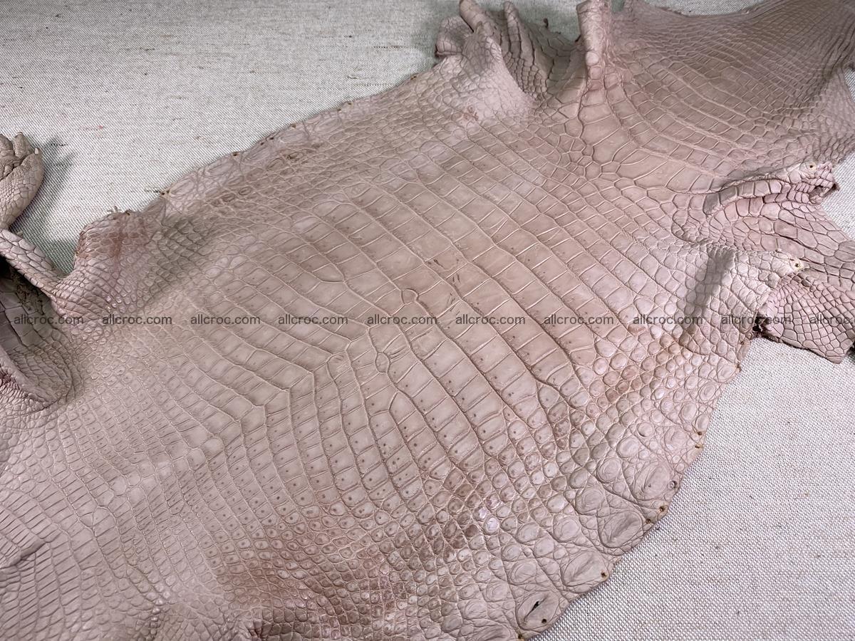 Crocodile skin belly part 36cm cappuccino color 1506 Foto 1