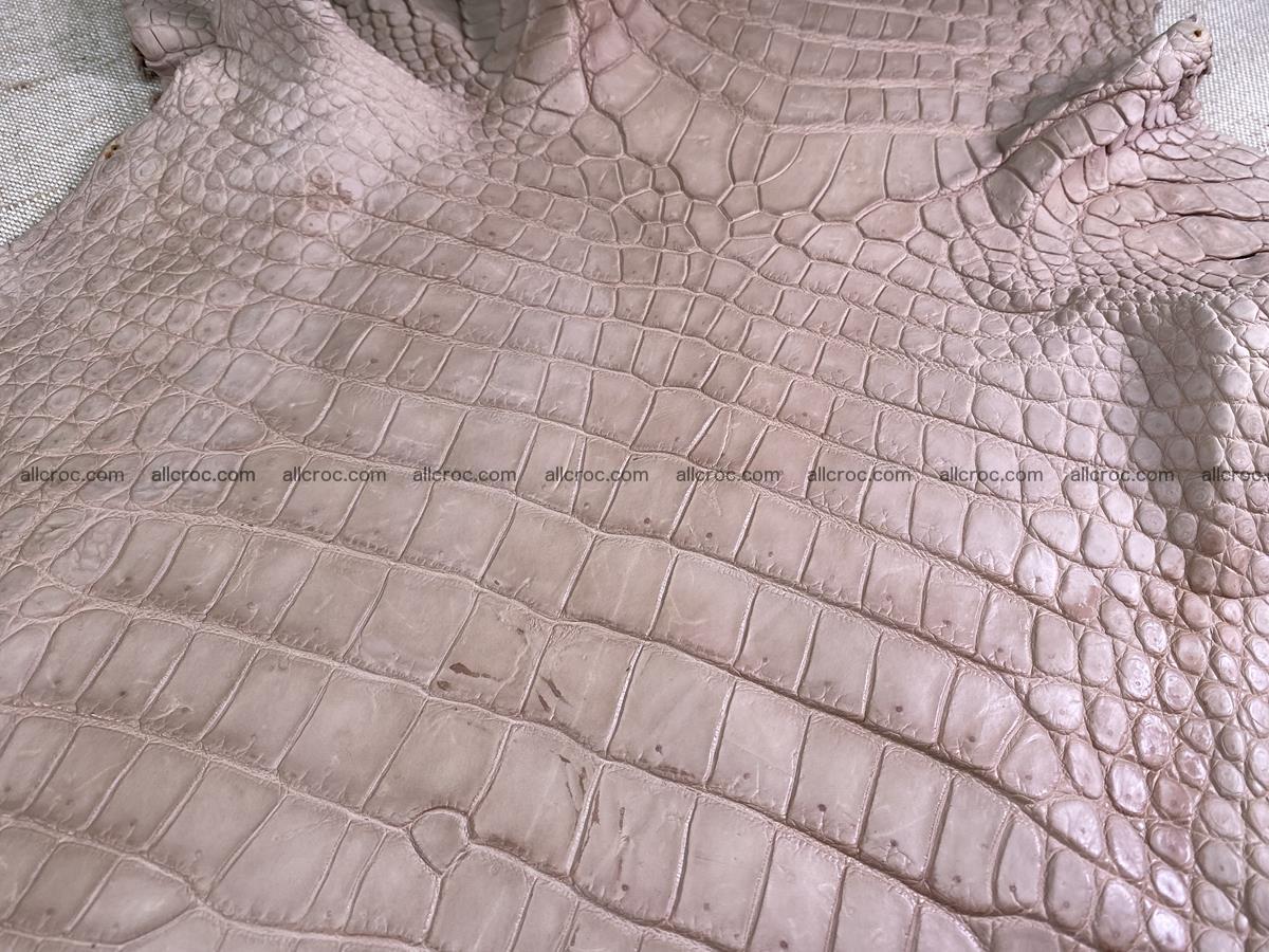 Crocodile skin belly part 36cm cappuccino color 1506 Foto 3