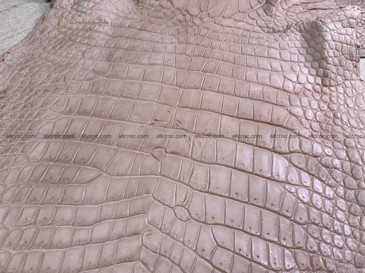 Crocodile skin belly part 36cm cappuccino color 1506 Foto 4