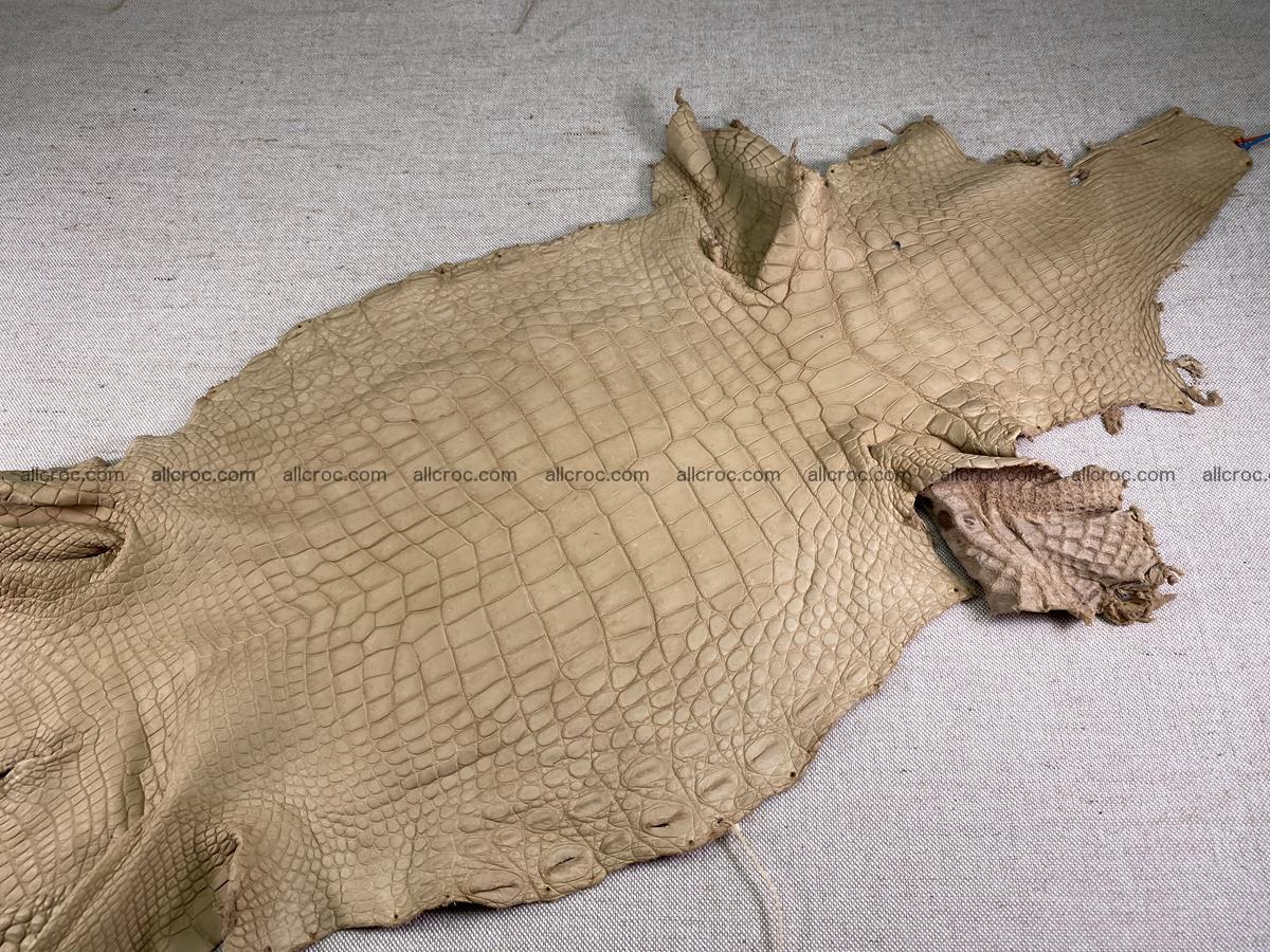 Crocodile skin belly part 34cm mustard color 1538 Foto 1