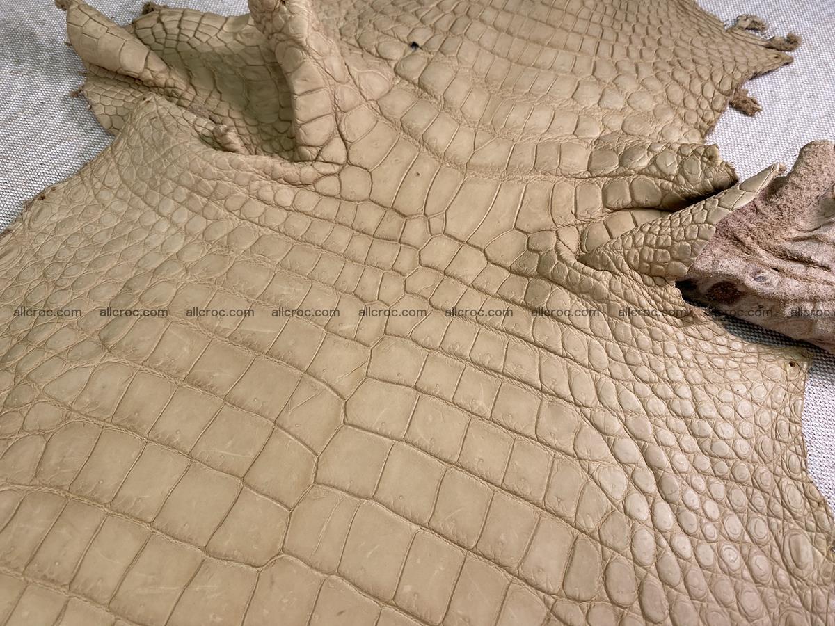 Crocodile skin belly part 34cm mustard color 1538 Foto 3