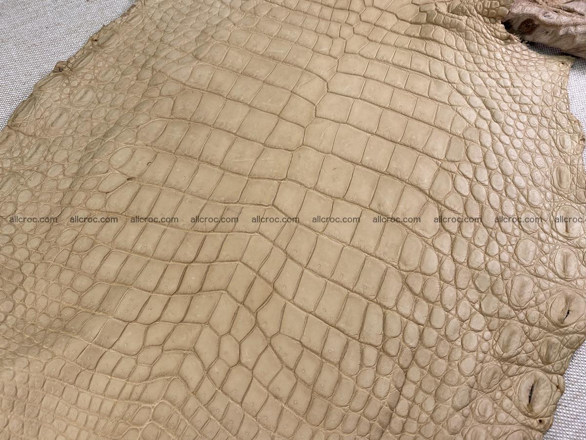 Crocodile skin belly part 34cm mustard color 1538 Foto 0