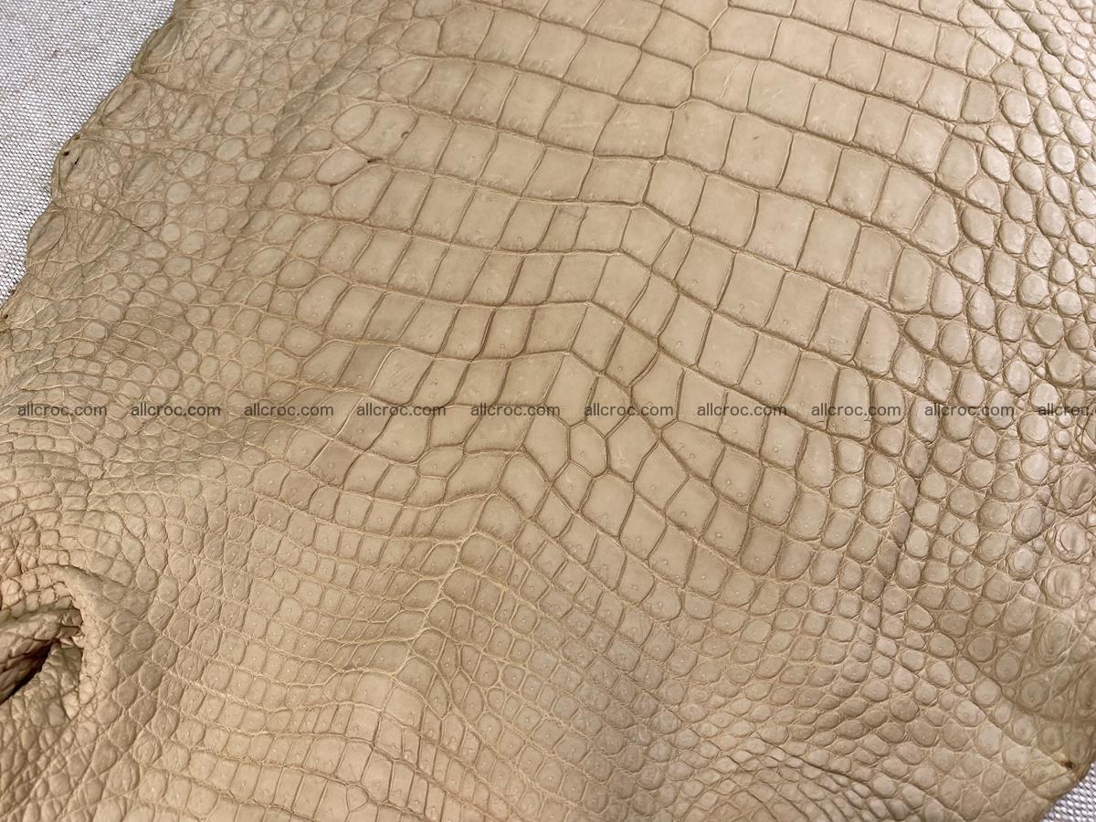 Crocodile skin belly part 34cm mustard color 1538 Foto 5