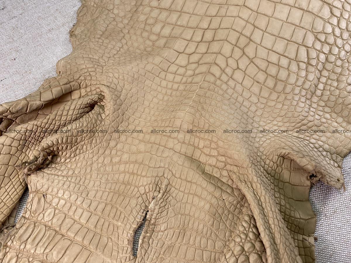 Crocodile skin belly part 34cm mustard color 1538 Foto 6