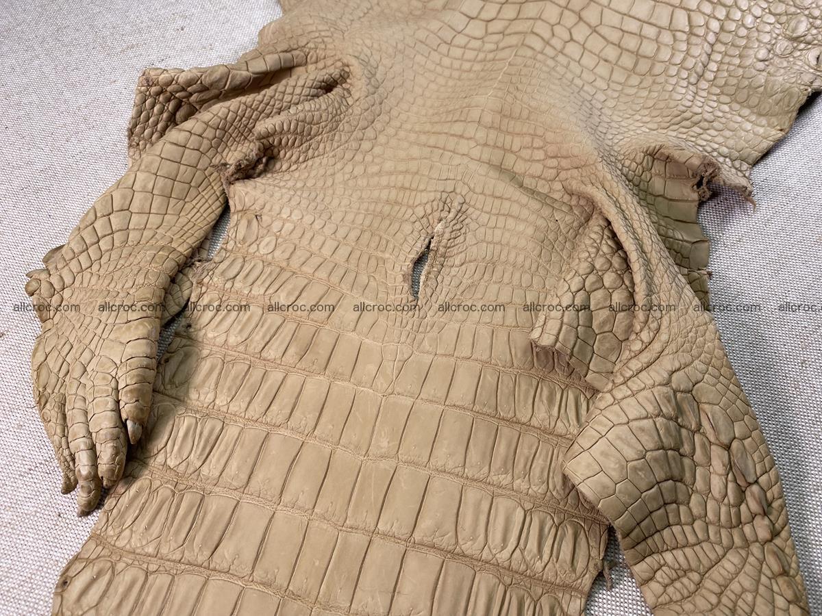 Crocodile skin belly part 34cm mustard color 1538 Foto 7