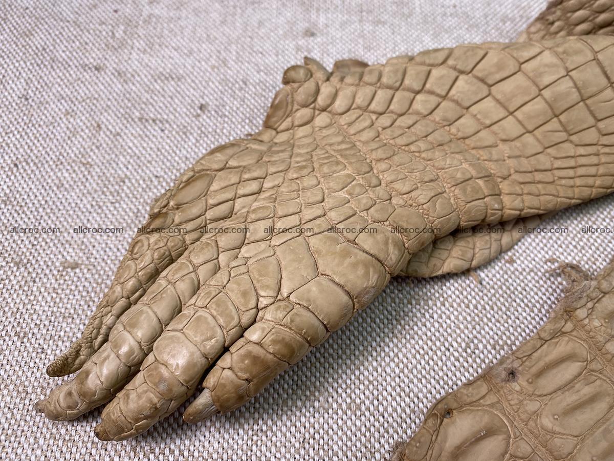 Crocodile skin belly part 34cm mustard color 1538 Foto 8