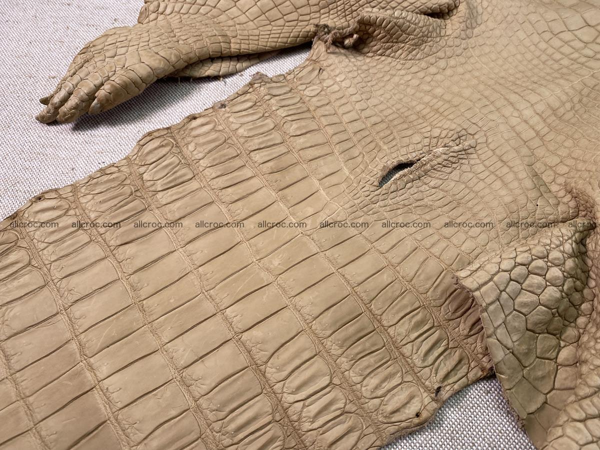 Crocodile skin belly part 34cm mustard color 1538 Foto 10